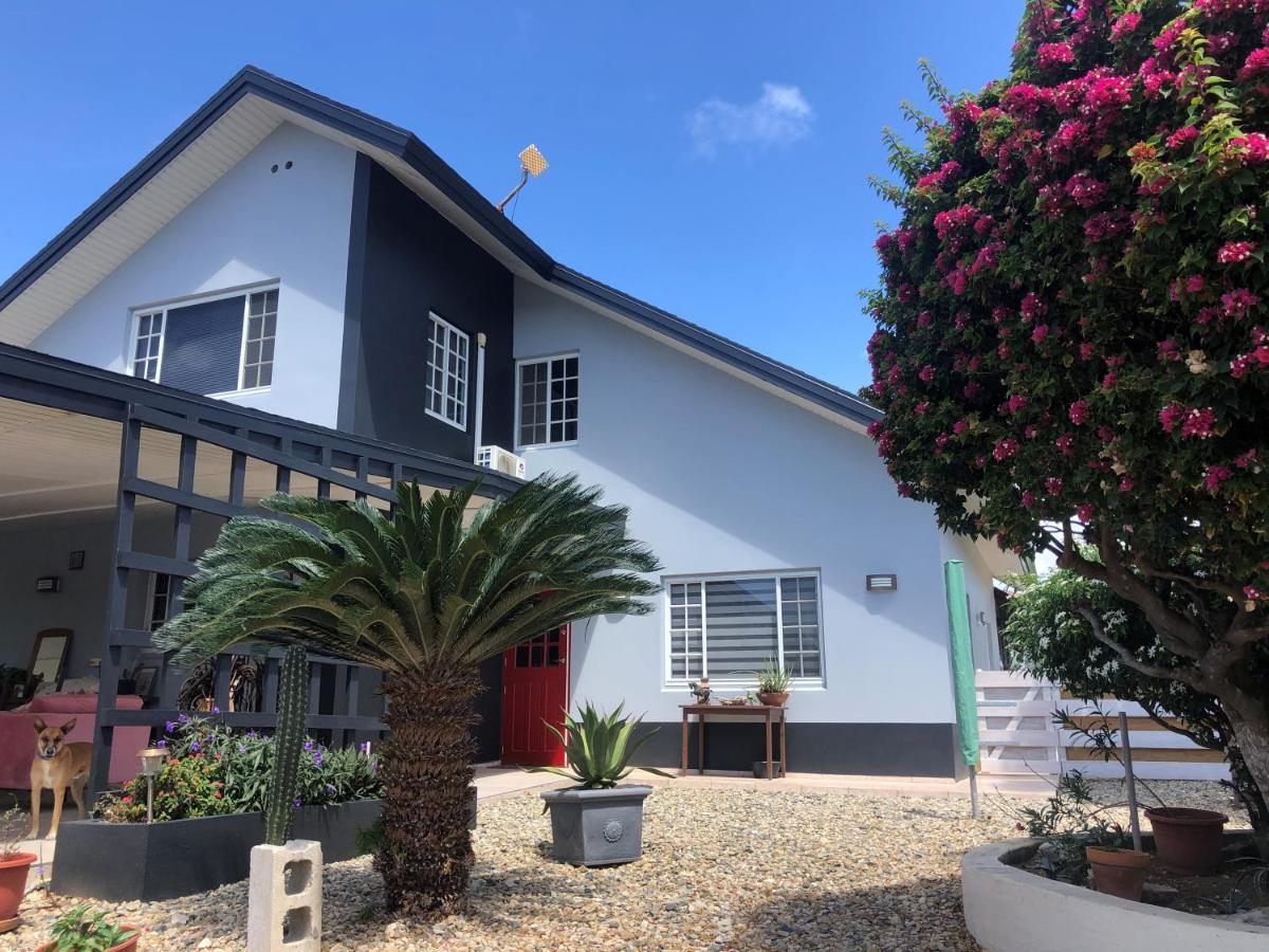 Palmhouse Apartments Aruba 1- 4 Persons Savaneta Экстерьер фото