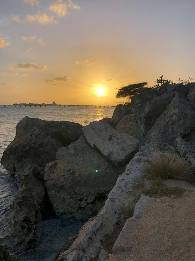 Palmhouse Apartments Aruba 1- 4 Persons Savaneta Экстерьер фото