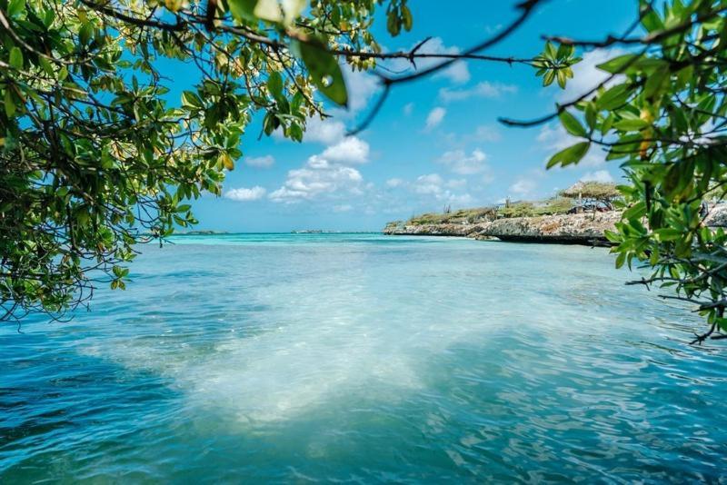 Palmhouse Apartments Aruba 1- 4 Persons Savaneta Экстерьер фото