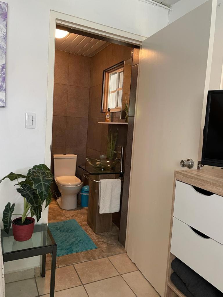 Palmhouse Apartments Aruba 1- 4 Persons Savaneta Экстерьер фото