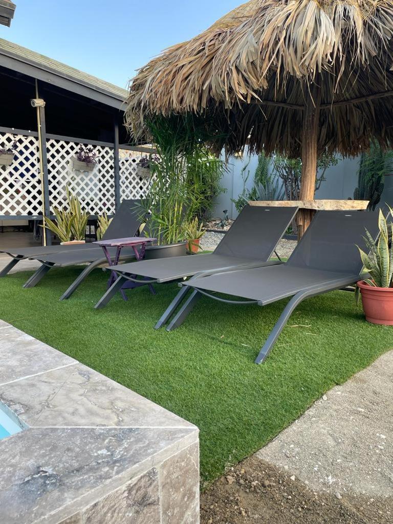 Palmhouse Apartments Aruba 1- 4 Persons Savaneta Экстерьер фото