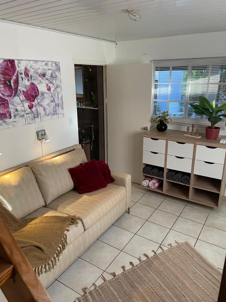 Palmhouse Apartments Aruba 1- 4 Persons Savaneta Экстерьер фото