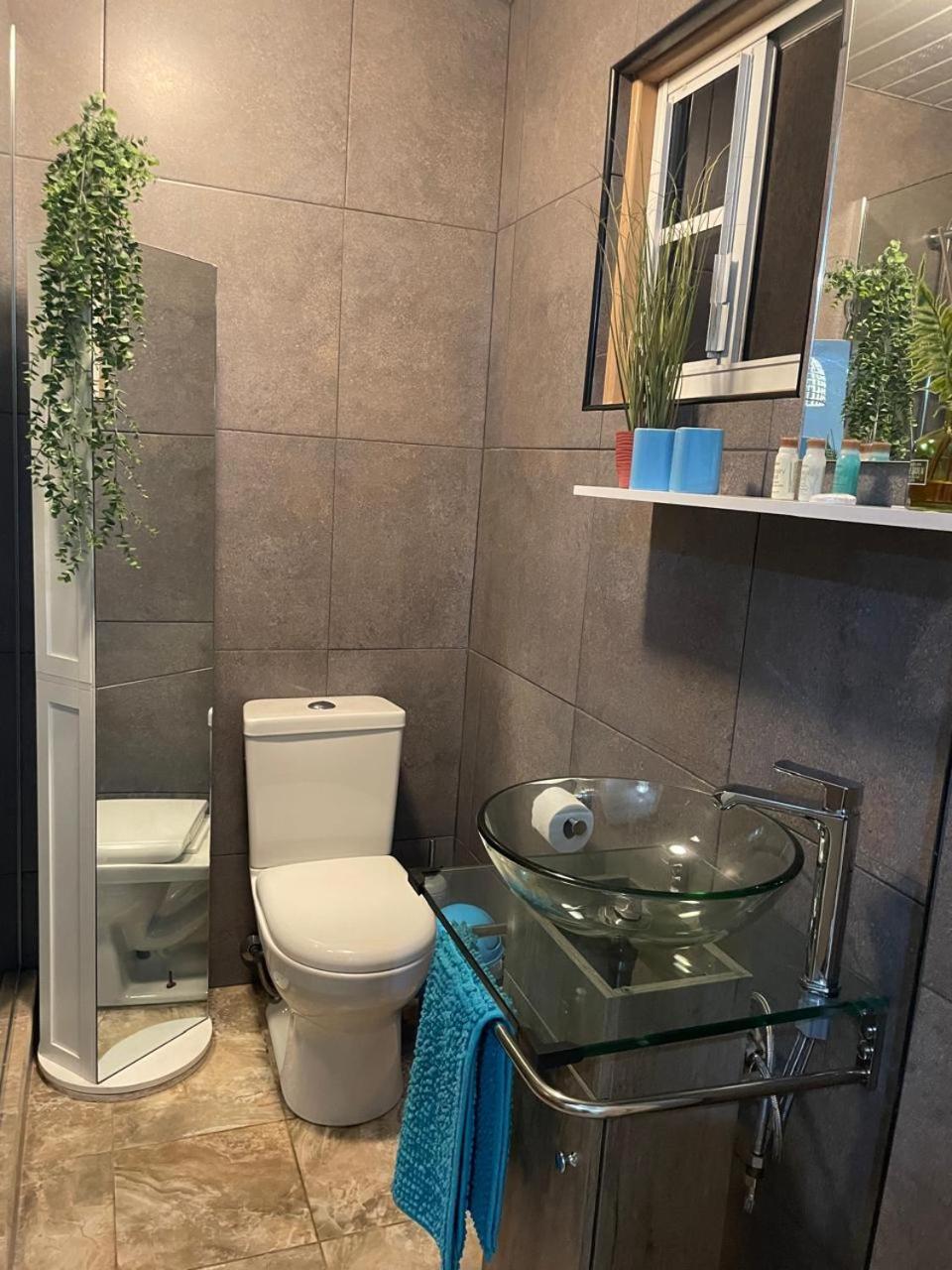 Palmhouse Apartments Aruba 1- 4 Persons Savaneta Экстерьер фото