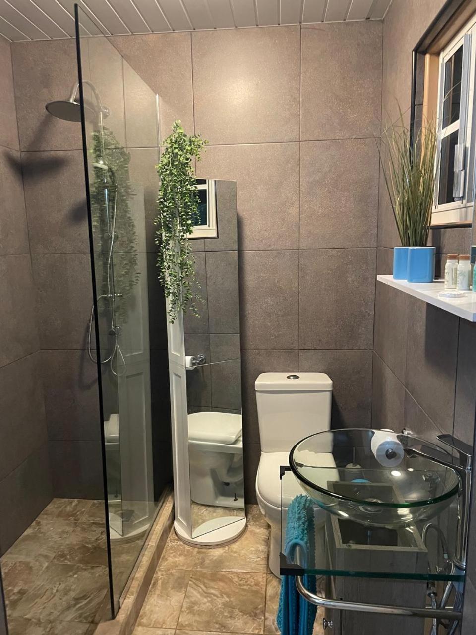 Palmhouse Apartments Aruba 1- 4 Persons Savaneta Экстерьер фото
